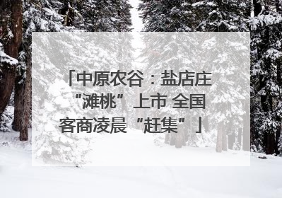 中原农谷：盐店庄“滩桃”上市 全国客商凌晨“赶集”