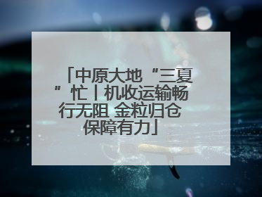中原大地“三夏”忙丨机收运输畅行无阻 金粒归仓保障有力