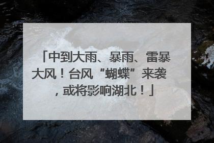 中到大雨、暴雨、雷暴大风！台风“蝴蝶”来袭，或将影响湖北！