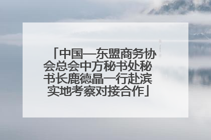 中国—东盟商务协会总会中方秘书处秘书长鹿德晶一行赴滨实地考察对接合作