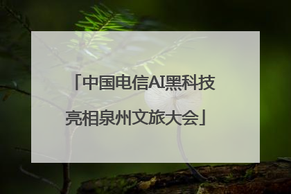 中国电信AI黑科技亮相泉州文旅大会