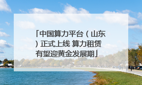 中国算力平台（山东）正式上线 算力租赁有望迎黄金发展期