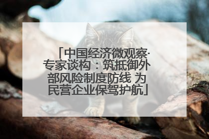 中国经济微观察·专家谈构：筑抵御外部风险制度防线 为民营企业保驾护航
