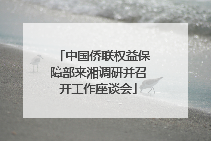 中国侨联权益保障部来湘调研并召开工作座谈会