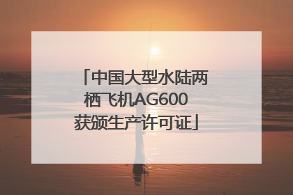 中国大型水陆两栖飞机AG600获颁生产许可证
