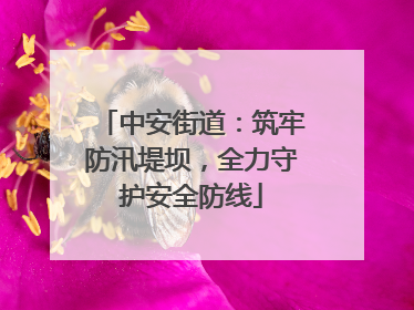 中安街道：筑牢防汛堤坝，全力守护安全防线