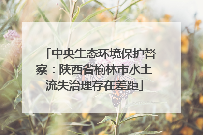中央生态环境保护督察：陕西省榆林市水土流失治理存在差距
