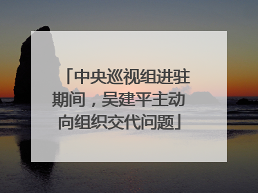 中央巡视组进驻期间，吴建平主动向组织交代问题