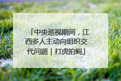 中央巡视期间，江西多人主动向组织交代问题｜打虎拍蝇
