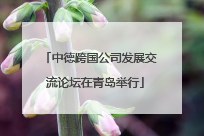 中德跨国公司发展交流论坛在青岛举行