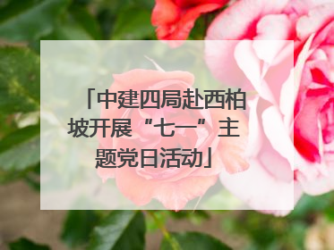 中建四局赴西柏坡开展“七一”主题党日活动