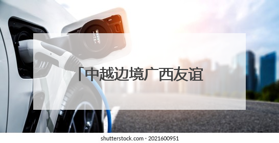 中越边境广西友谊关口岸前5月进出口货运量增长超三成