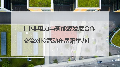 中非电力与新能源发展合作交流对接活动在岳阳举办