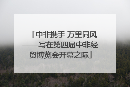 中非携手 万里同风——写在第四届中非经贸博览会开幕之际