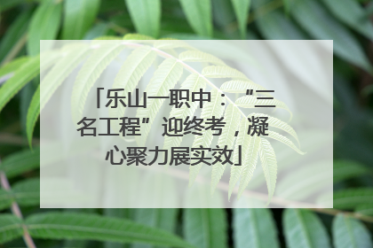 乐山一职中：“三名工程”迎终考，凝心聚力展实效