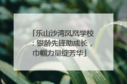 乐山沙湾凤凰学校：银龄先锋助成长，巾帼力量绽芳华
