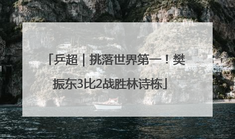乒超｜挑落世界第一！樊振东3比2战胜林诗栋