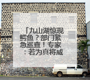 九山湖惊现鳄鱼？部门紧急巡查！专家：若为真将威胁生态与市民安全