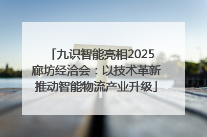 九识智能亮相2025廊坊经洽会：以技术革新推动智能物流产业升级