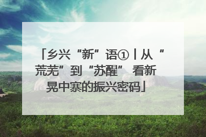 乡兴“新”语①丨从“荒芜”到“苏醒” 看新晃中寨的振兴密码