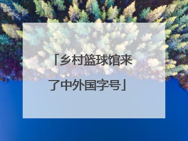 乡村篮球馆来了中外国字号