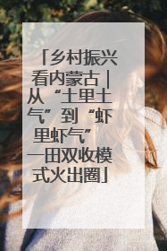 乡村振兴看内蒙古｜从“土里土气”到“虾里虾气” 一田双收模式火出圈