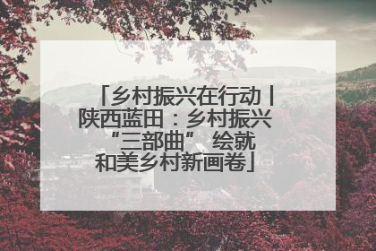 乡村振兴在行动丨陕西蓝田：乡村振兴 “三部曲” 绘就和美乡村新画卷