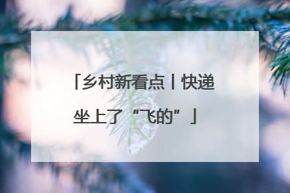 乡村新看点丨快递坐上了“飞的”