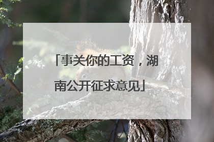 事关你的工资，湖南公开征求意见