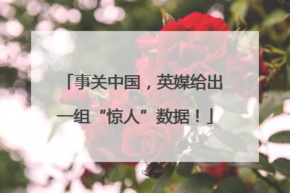 事关中国，英媒给出一组“惊人”数据！