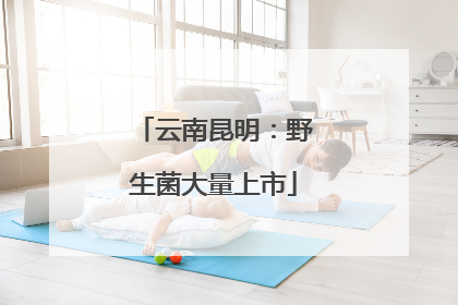 云南昆明：野生菌大量上市