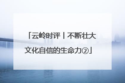 云岭时评丨不断壮大文化自信的生命力②
