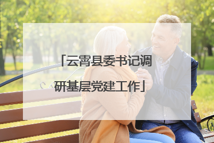 云霄县委书记调研基层党建工作