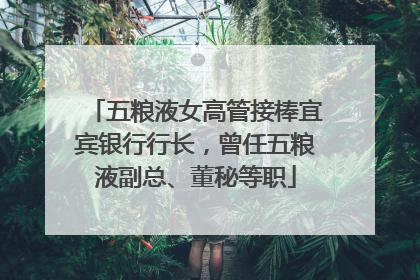 五粮液女高管接棒宜宾银行行长，曾任五粮液副总、董秘等职