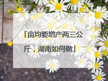 亩均要增产两三公斤，湖南如何做