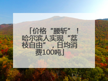 价格“腰斩”！哈尔滨人实现“荔枝自由”，日均消费100吨