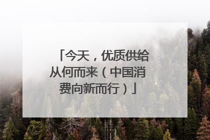 今天，优质供给从何而来（中国消费向新而行）