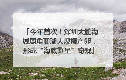 今年首次！深圳大鹏海域鹿角珊瑚大规模产卵，形成“海底繁星”奇观