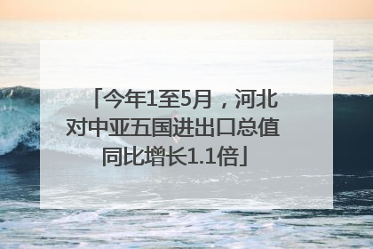 今年1至5月，河北对中亚五国进出口总值同比增长1.1倍