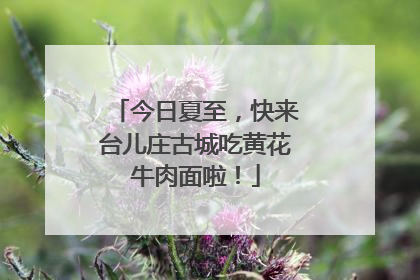 今日夏至，快来台儿庄古城吃黄花牛肉面啦！