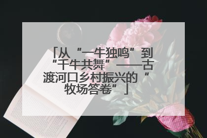从“一牛独鸣”到“千牛共舞”——古渡河口乡村振兴的“牧场答卷”