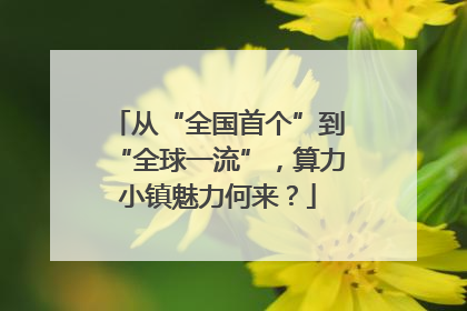从“全国首个”到“全球一流”，算力小镇魅力何来？