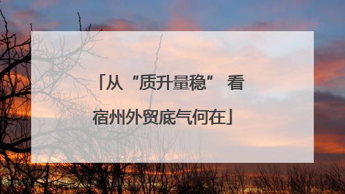 从“质升量稳” 看宿州外贸底气何在