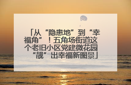 从“隐患地”到“幸福角”！五角场街道这个老旧小区党建微花园“靓”出幸福新图景