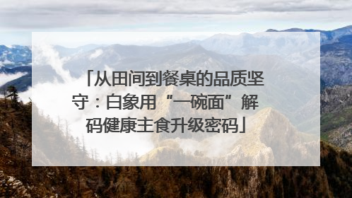 从田间到餐桌的品质坚守：白象用“一碗面”解码健康主食升级密码