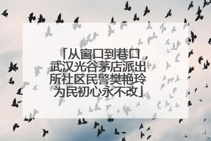 从窗口到巷口，武汉光谷茅店派出所社区民警樊艳玲为民初心永不改