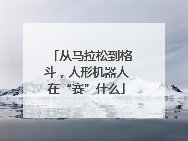 从马拉松到格斗，人形机器人在“赛”什么