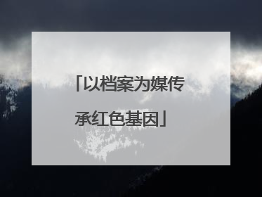 以档案为媒传承红色基因