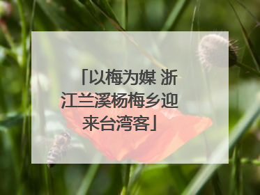 以梅为媒 浙江兰溪杨梅乡迎来台湾客