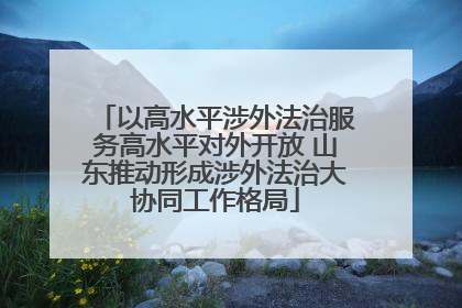 以高水平涉外法治服务高水平对外开放 山东推动形成涉外法治大协同工作格局
